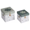 Done By Deer Opbergboxen Set 2 Stuks Small Tiny Tropics -Babyverzorging Winkel image 16037