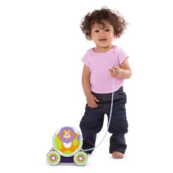 Melissa & Doug Pull & Play Xylofoon -Babyverzorging Winkel image 21520