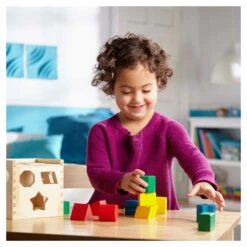 Melissa & Doug Houten Vormsorteerder -Babyverzorging Winkel image 21558