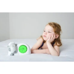 Zazu Slaaptrainer Sam Het Schaap Grijs -Babyverzorging Winkel image 22023
