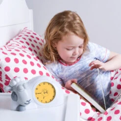 Zazu Slaaptrainer Sam Het Schaap Grijs -Babyverzorging Winkel image 22027