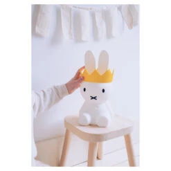 Mr. Maria Mr Maria Kroon -Babyverzorging Winkel image 28984