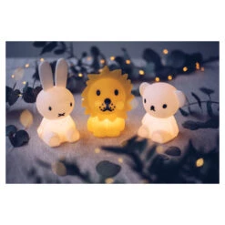 Mr. Maria Mr Maria Lion Bundle Of Light -Babyverzorging Winkel image 29834