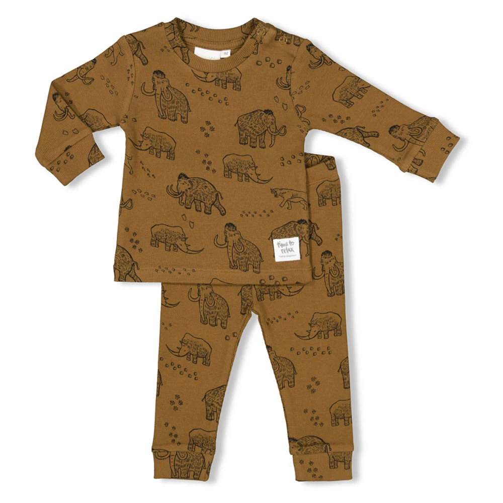 Feetje Pyjama Marty Mammoth Premium 3 Feetje Pyjama Marty Mammoth Premium