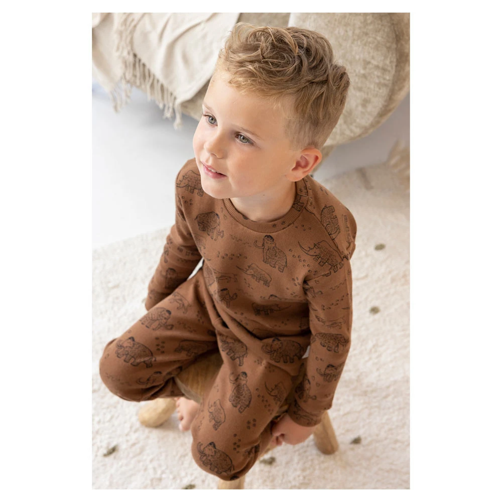 Feetje Pyjama Marty Mammoth Premium 7 Feetje Pyjama Marty Mammoth Premium - Afbeelding 5