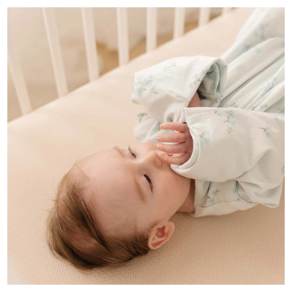 Puckababy The Bag 4 Seasons Forever Love 4 Puckababy The Bag 4 Seasons Forever Love - Afbeelding 2