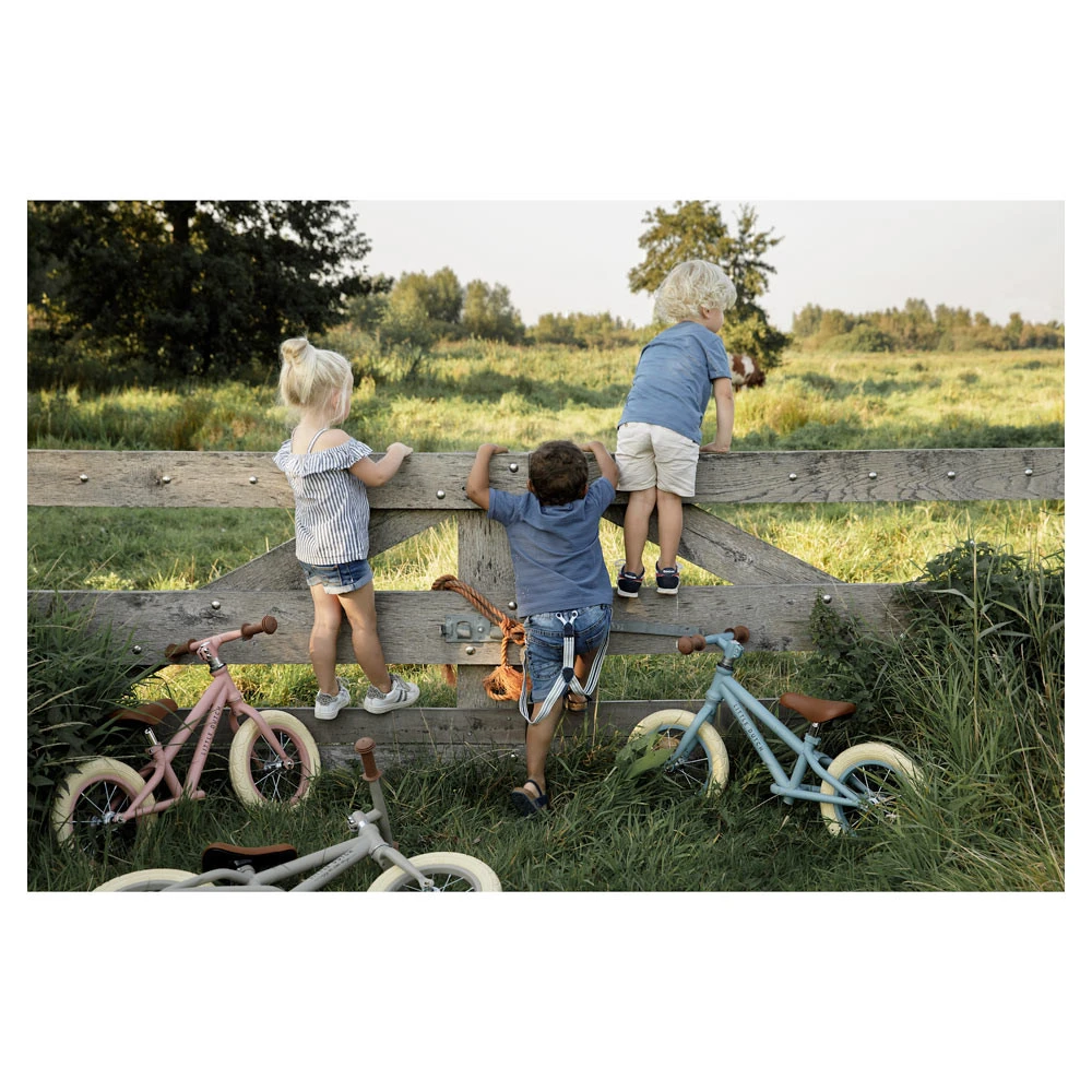 Little Dutch Loopfiets Pink Matt 7 Little Dutch Loopfiets Pink Matt - Afbeelding 5