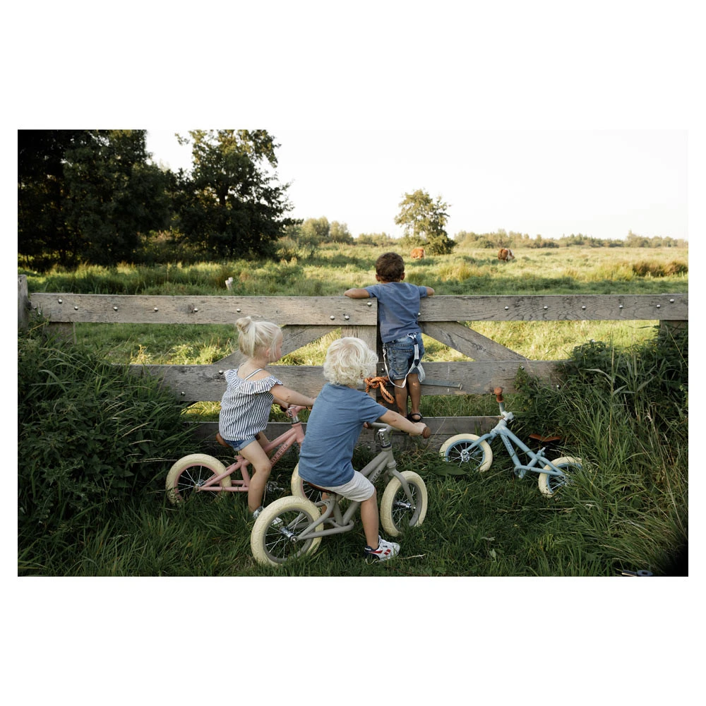 Little Dutch Loopfiets Pink Matt 17 Little Dutch Loopfiets Pink Matt - Afbeelding 15