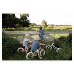 Little Dutch Loopfiets Olive Matt 27 Little Dutch Loopfiets Olive Matt -Babyverzorging Winkel image 30800