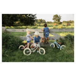 Little Dutch Loopfiets Olive Matt 28 Little Dutch Loopfiets Olive Matt -Babyverzorging Winkel image 30801