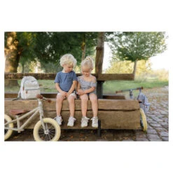 Little Dutch Loopfiets Olive Matt 35 Little Dutch Loopfiets Olive Matt -Babyverzorging Winkel image 30808