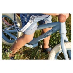 Little Dutch Loopfiets Blue Matt 30 Little Dutch Loopfiets Blue Matt -Babyverzorging Winkel image 30821