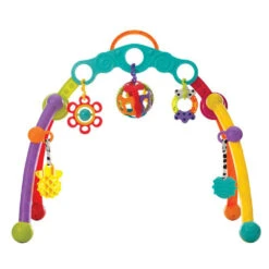 Playgro Fold & Go Babygym