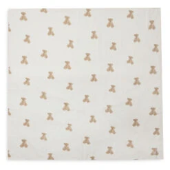 Jollein Hydrofiel Doek Large 115x115cm Teddy Bear 2 Stuks -Babyverzorging Winkel image 33454