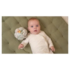 Little Dutch Speelball Little Farm -Babyverzorging Winkel image 33923