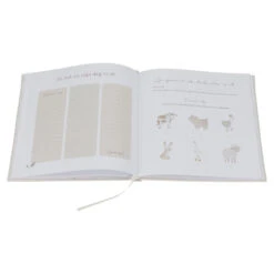 Little Dutch Babyboek "Mijn Eerste Jaar" Baby Bunny -Babyverzorging Winkel image 37256