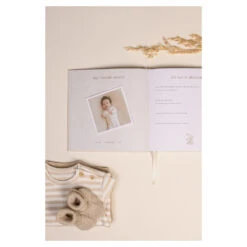 Little Dutch Babyboek "Mijn Eerste Jaar" Baby Bunny -Babyverzorging Winkel image 37259